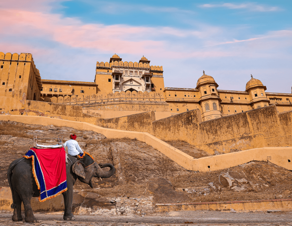 Amer fort jaipur