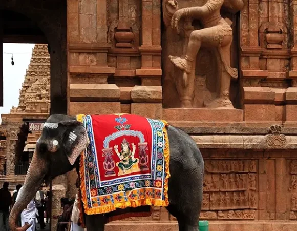 South India’s Spiritual Temple Trail